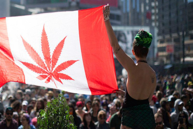 Canadá legaliza maconha para uso recreativo