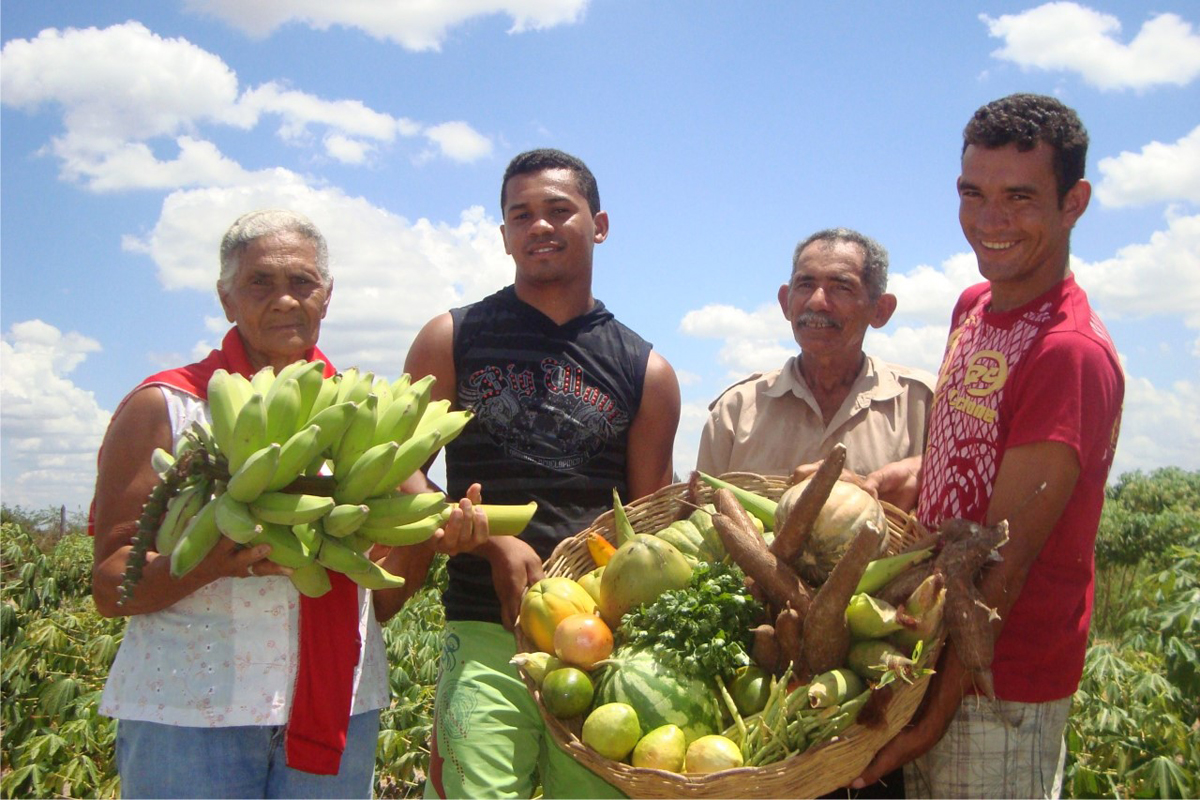 Projeto obriga Governo a comprar da agricultura familiar 30% dos alimentos fornecidos pelo Estado