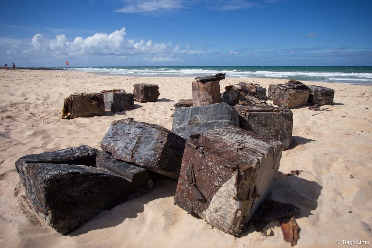Ong Oceânica alerta sobre material tóxico encontrado nas praias do RN