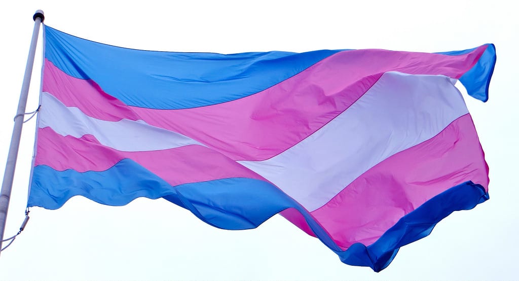 ONU seleciona ativistas trans para capacitação remunerada na Suíça