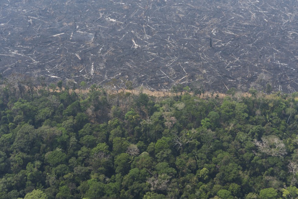 CPI para apurar incêndios na Amazônia será instaurada no Senado