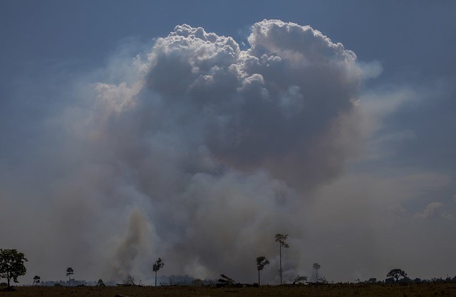 Jornalista que denunciou “Dia do Fogo” na Amazônia é ameaçado no Pará