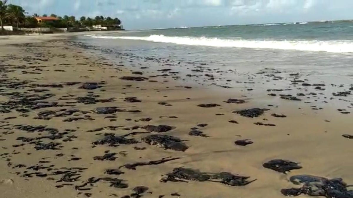 Nordeste teve quase 140 praias atingidas por óleo no mar