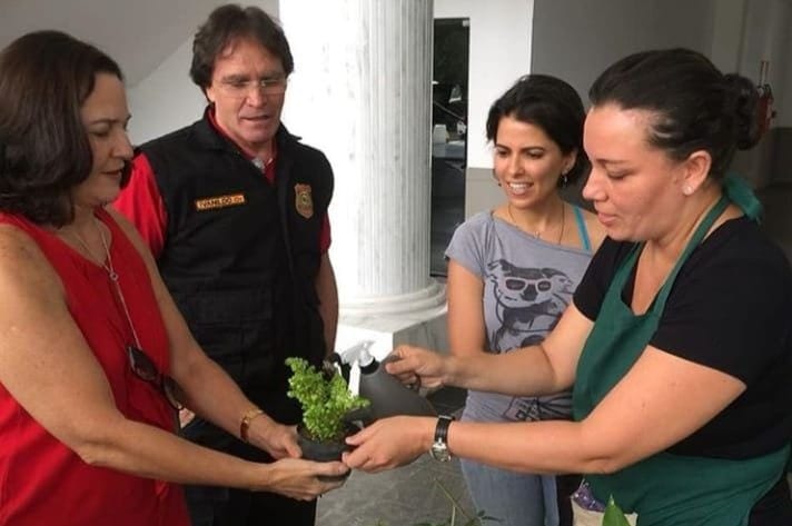 Ativistas do RN lançam primeiro aplicativo de doação de mudas e sementes do  Brasil - Saiba Mais
