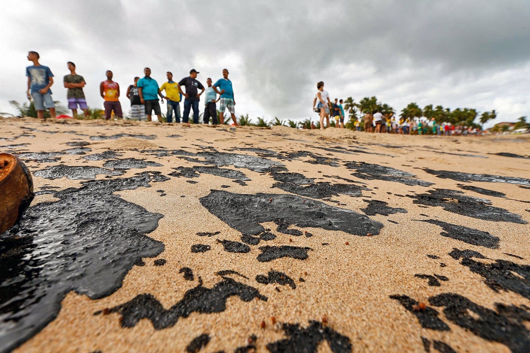 Ibama ainda registra presença de óleo em 467 praias do Nordeste, ES e RJ   