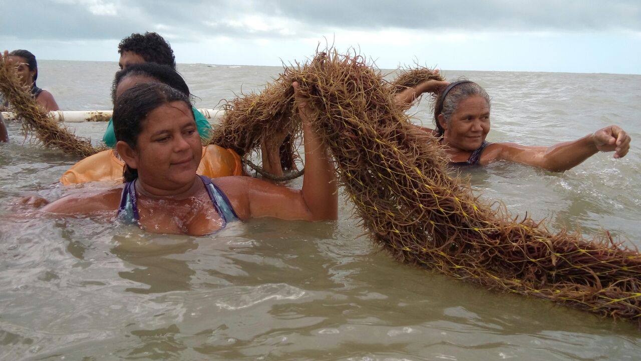 Pescadoras potiguares criam grupo de lideranças femininas e pedem apoio do Consórcio Nordeste