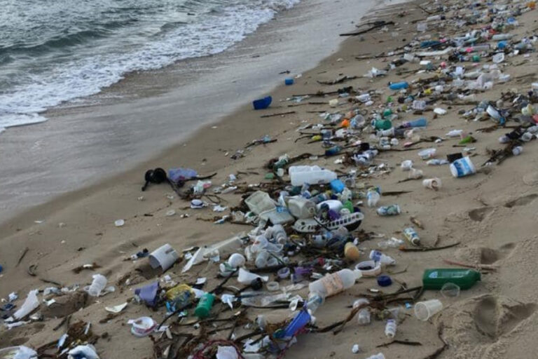 MP abre inquérito para investigar origem de lixo encontrado nas praias do RN