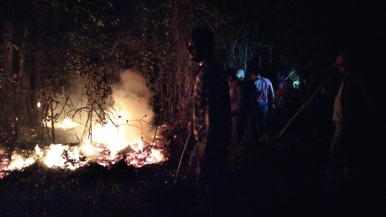 Incêndio iniciado em plantação de cana de açúcar atinge zona de proteção ambiental e área indígena no RN