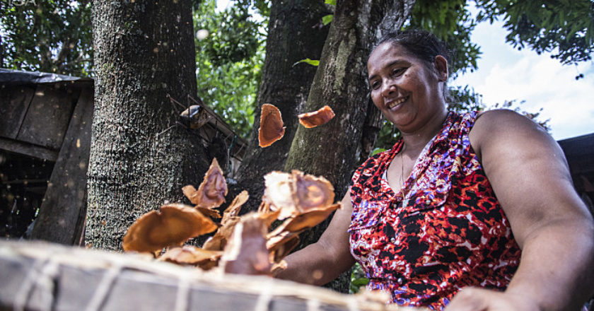 O site foi fruto da parceria entre a Fiocruz e indígenas das etnias Xucuru de Ororubá, de Pernambuco, e Tinguí-Botó, de Alagoas (foto) - Tui Anandi/ISA