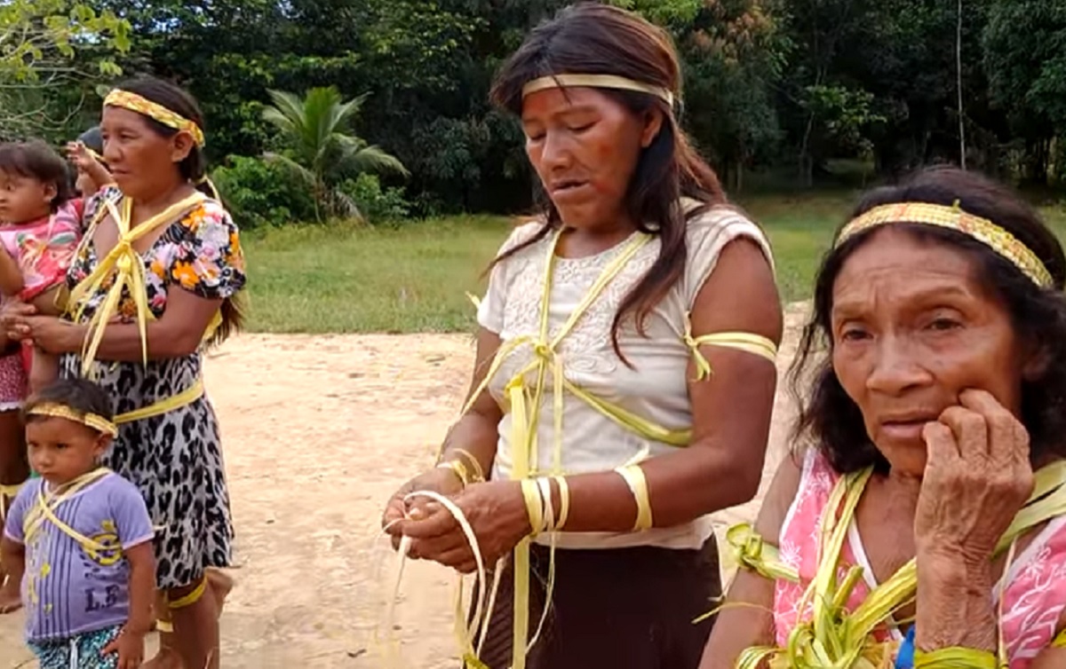 Professores de quatro povos indígenas lançam livros didáticos bilíngues