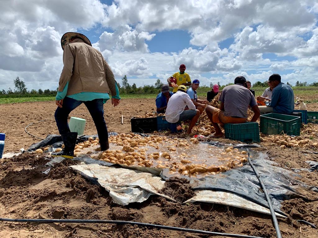 Famílias agricultoras de Macaíba realizam sonho de produzir em sua própria terra; reportagem em vídeo