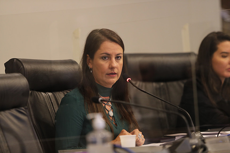 "As plataformas têm um papel fundamental no combate à desinformação", diz Ana Cláudia Santano, coordenadora da ONG Transparência Eleitoral - Assembleia Legislativa Paraná