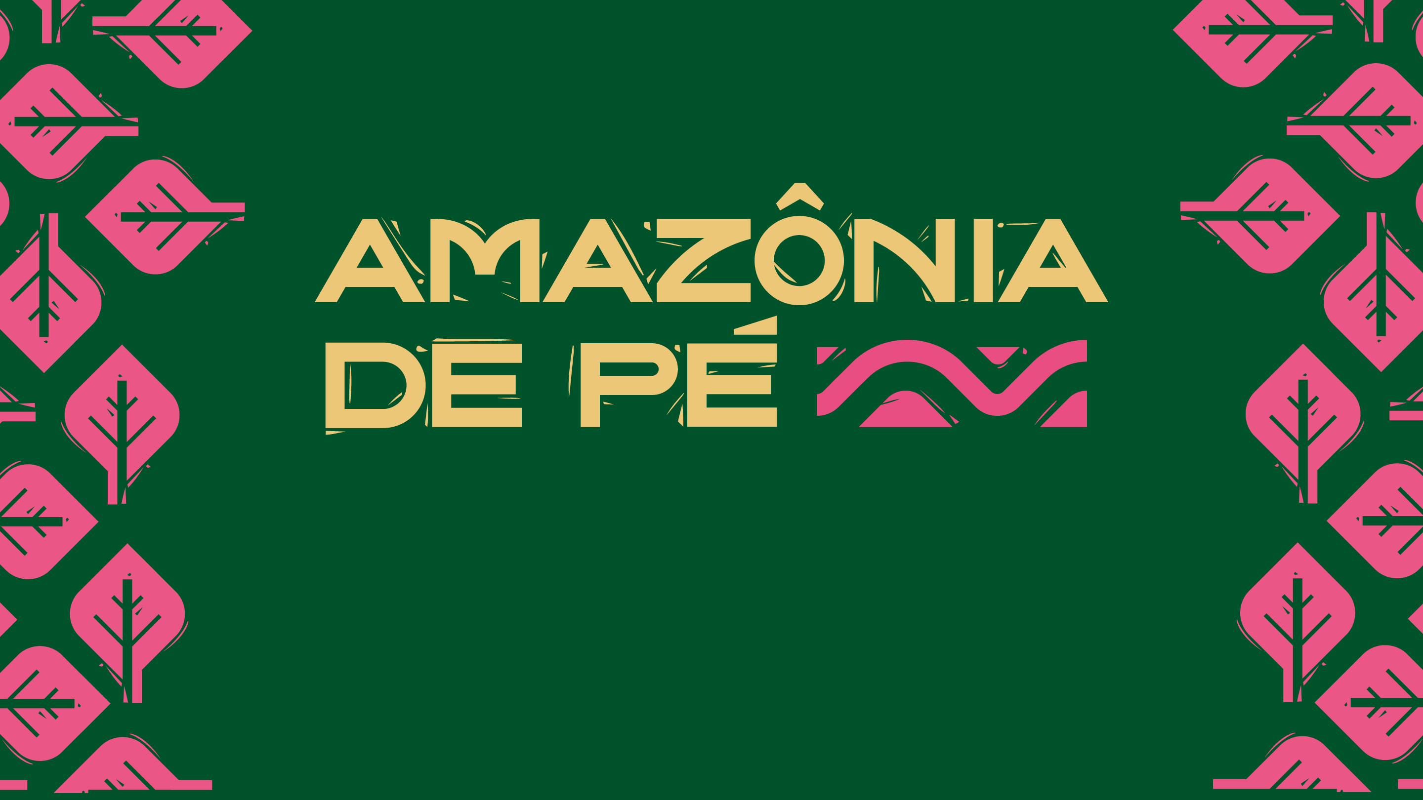Movimentos climáticos do RN organizam ações em defesa da Amazônia