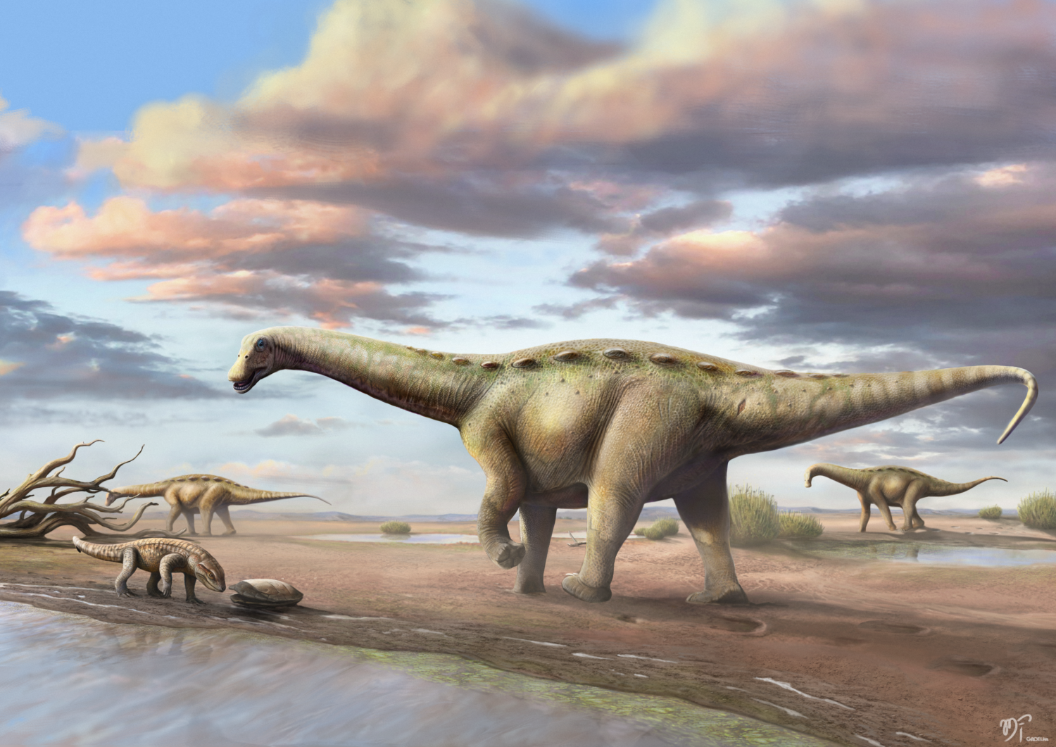 Professora da UFRN foi primeira a trabalhar com fósseis de nova espécie de dinossauro descoberta no Brasil