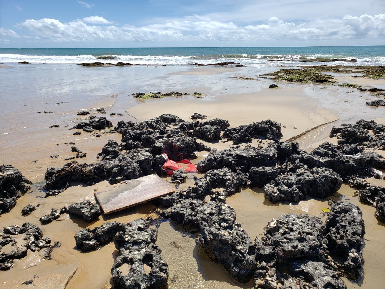 Dia Mundial da Limpeza 2022 terá mutirão em praias de Natal