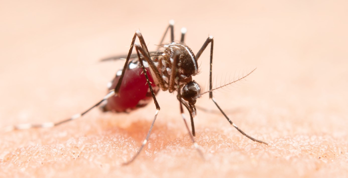 Sete das 10 cidades com mais casos de zika do país estão no RN; Natal é a 9ª em suspeitas de dengue