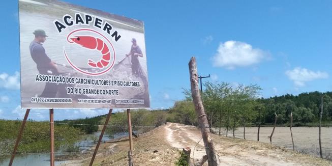 Sem regulamentação ambiental, ribeirinhos denunciam novas ocupações no estuário do Potengi