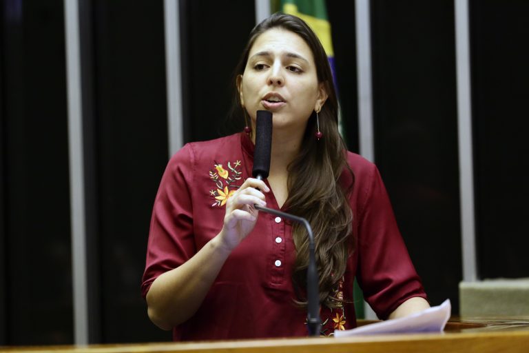 CPMI das Fake News descortinou organização criminosa bolsonarista, diz Natália Bonavides