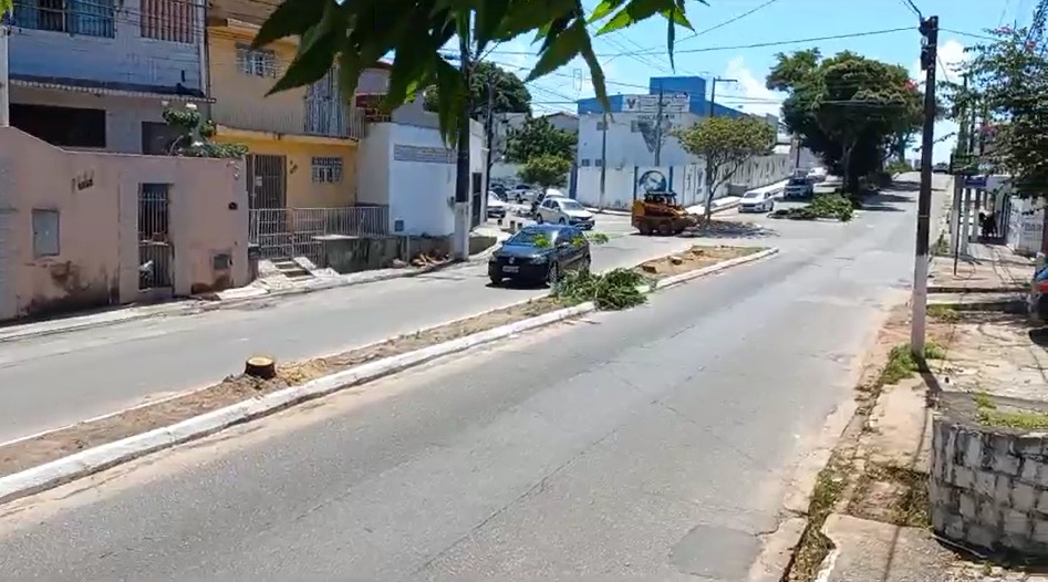 Rua Jaguarari, em Natal, com árvores cortadas I Imagens: cedidas