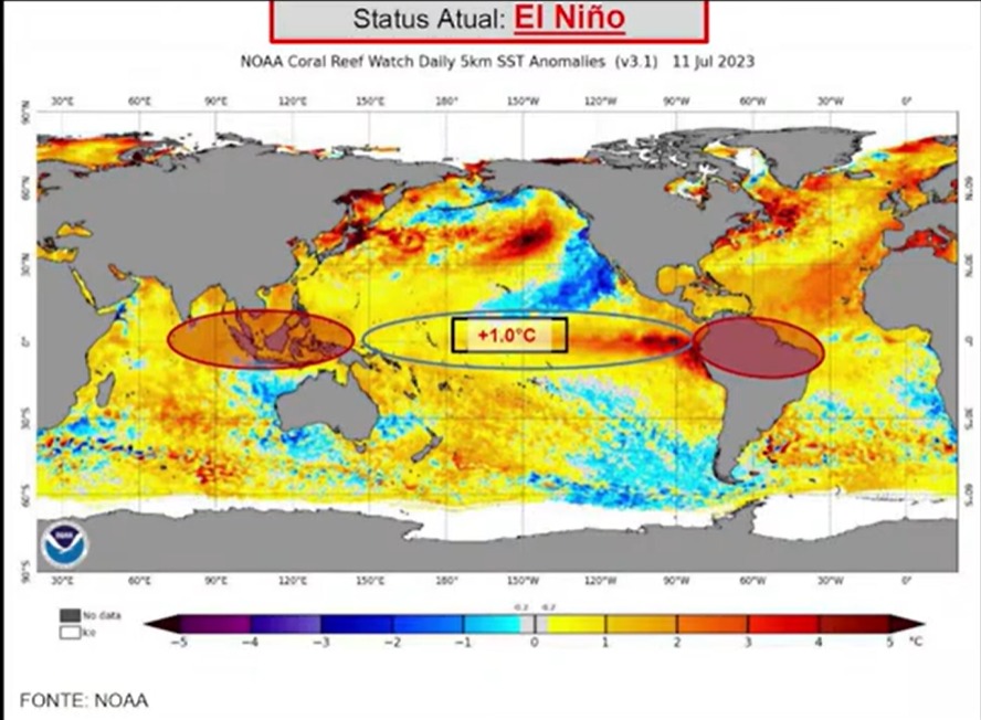 Fenômeno do El Niño I Imagem: reprodução