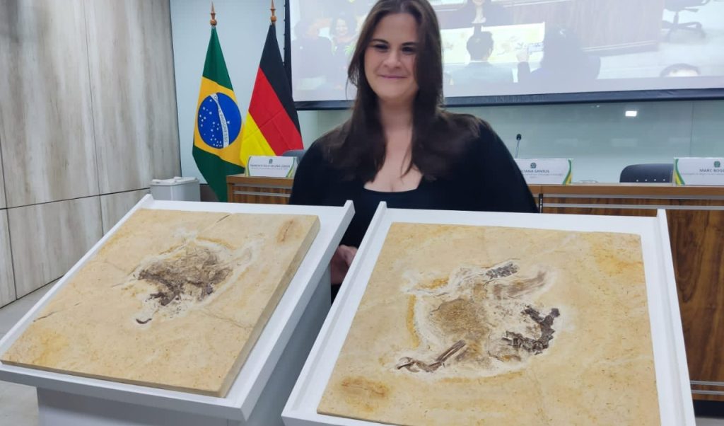 Aline Ghilardi com o fóssil de Ubirajara na volta ao Brasil I Foto: divulgação