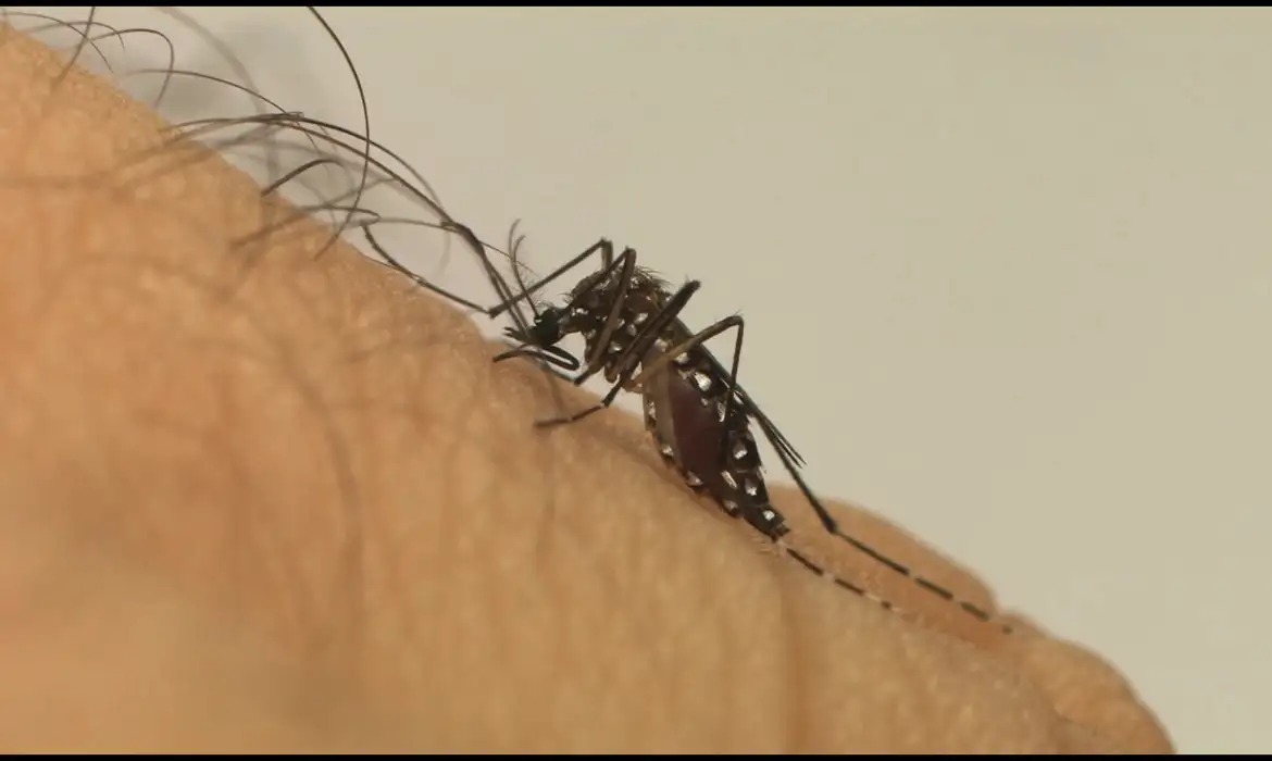 No RN, 19 municípios receberão vacina contra dengue em fevereiro