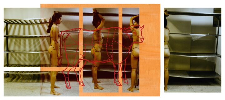 Artista potiguar reflete sobre condição feminina em exposição