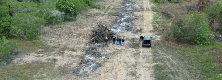PF indicia canavieiros por desmatamento em área ocupada por indígenas no RN