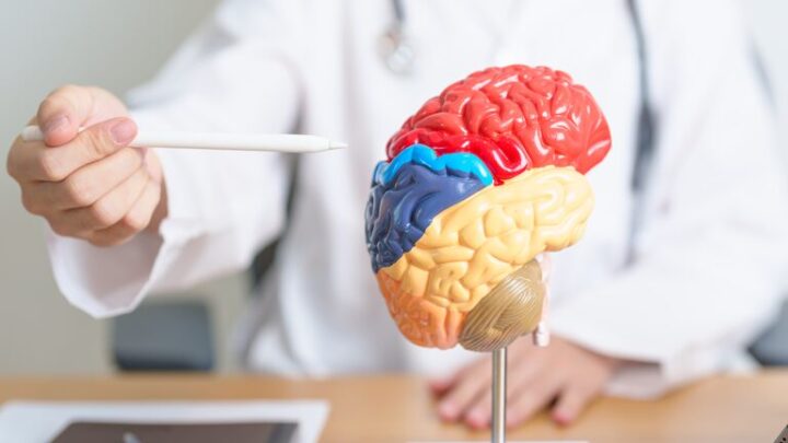 HUOL implanta marca-passos cerebrais pelo SUS para tratar Parkinson